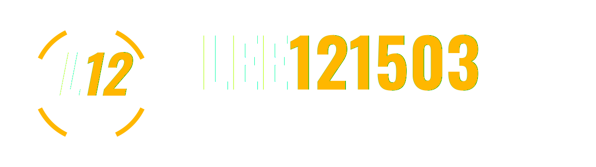 LEE121503 — full-field fantasy football data